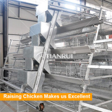 Sistema de alimentación automático Tianrui Design Best Build Durable Poultry